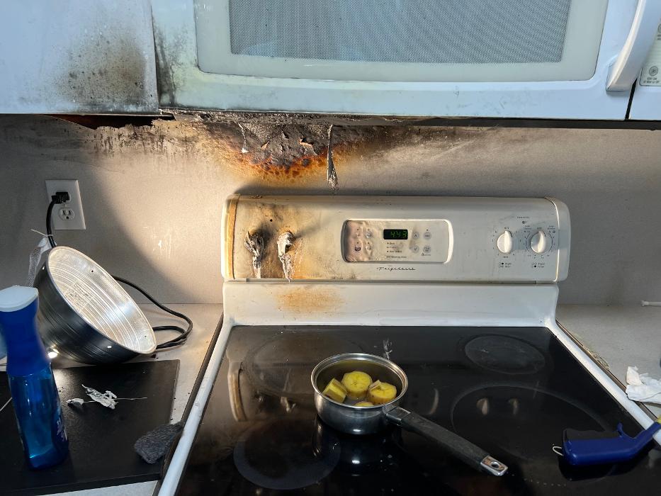 Eco Safe - Sarasota, FL