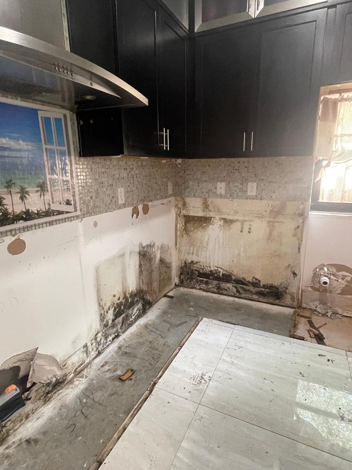 Eco Safe - Sarasota, FL