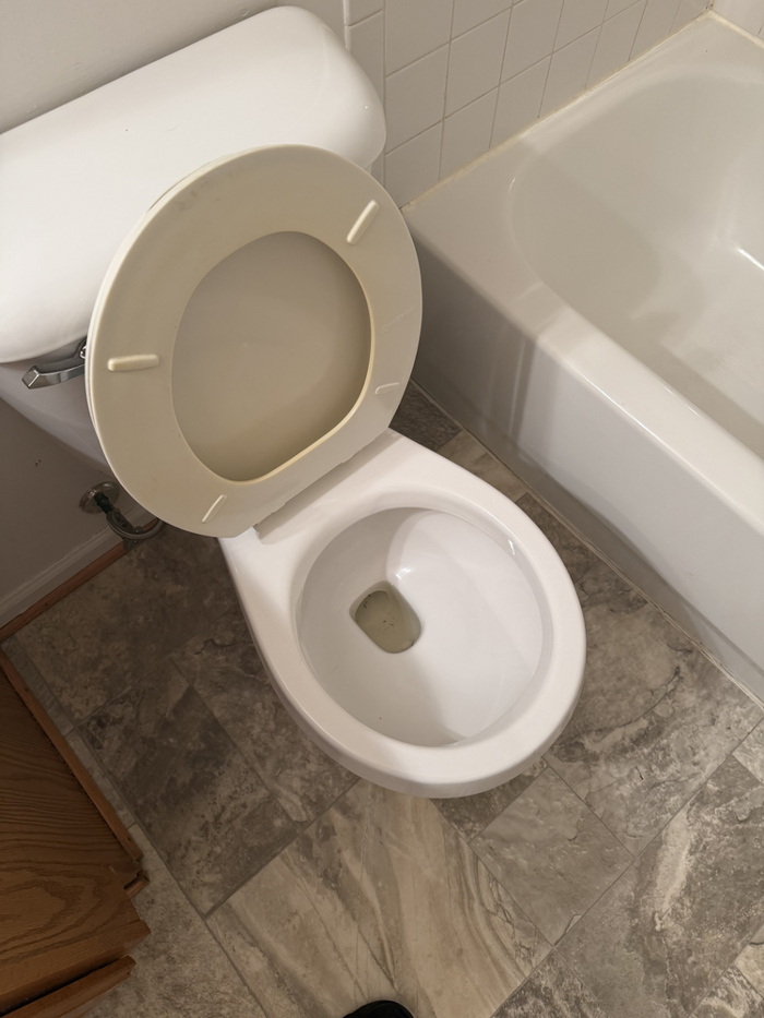 After: Feces Compacted Toilet Removed 20+lbs of human feces