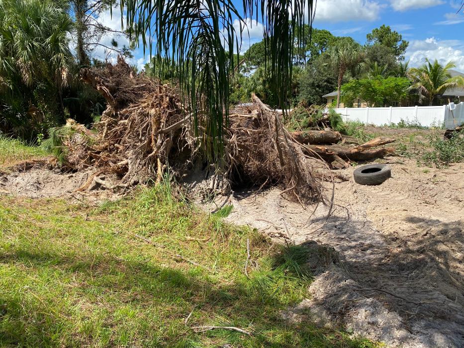 Vertical Builders and Commercial Image