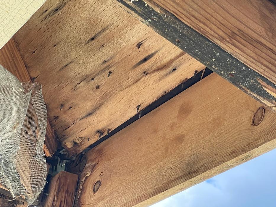 Vertical Builders and Commercial Image