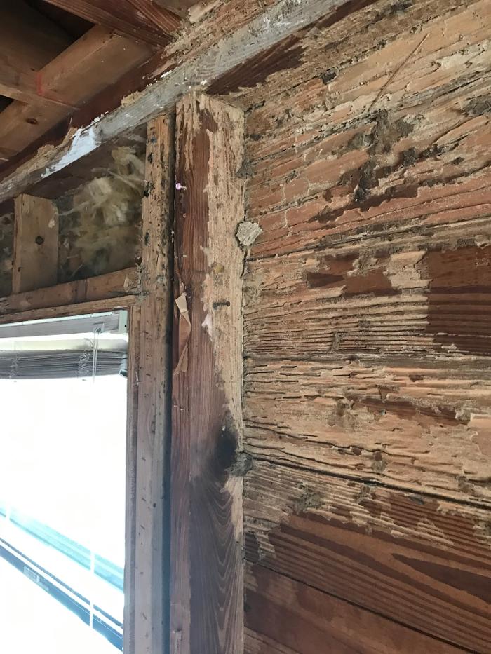 Vertical Builders and Commercial Image