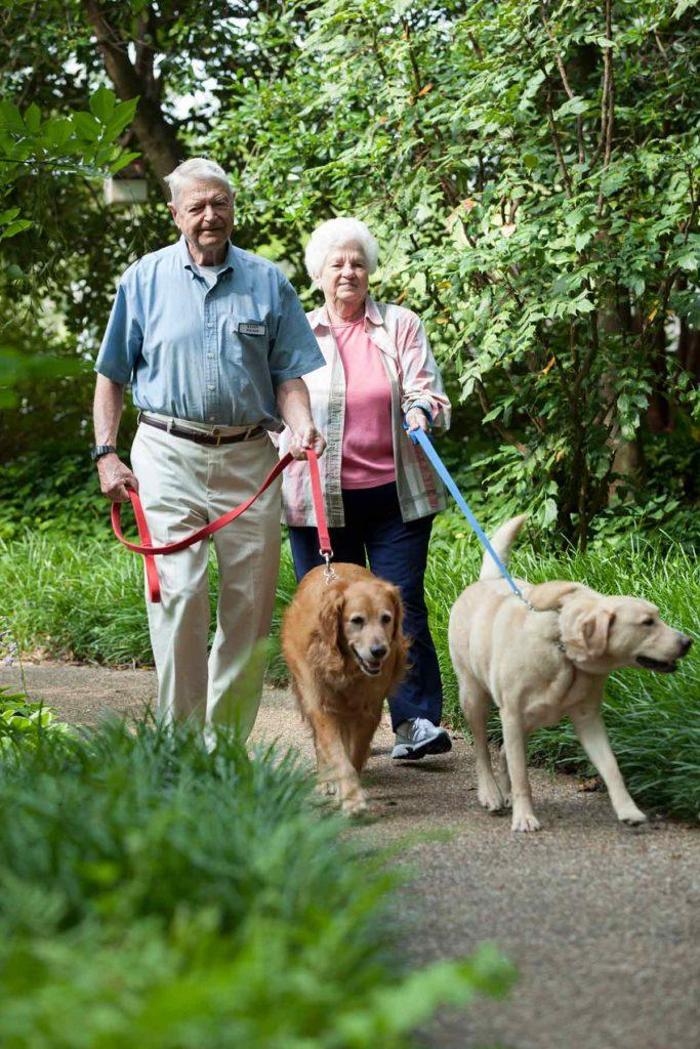 Canterbury Court Image