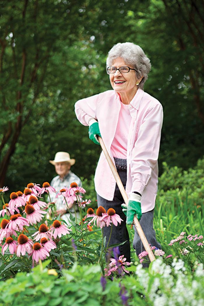 Canterbury Court Image