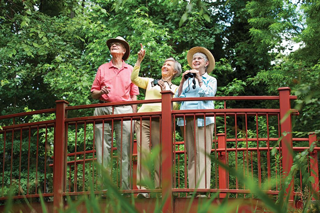 Canterbury Court Image