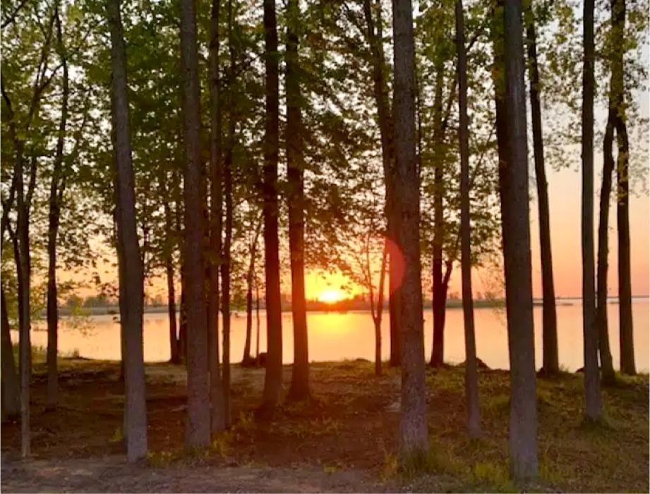 Lake Huron Cabin Rentals LLC - Au Gres, MI