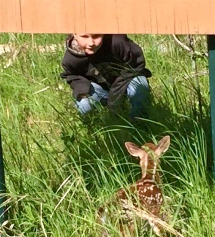 Lake Huron Cabin Rentals LLC - Au Gres, MI