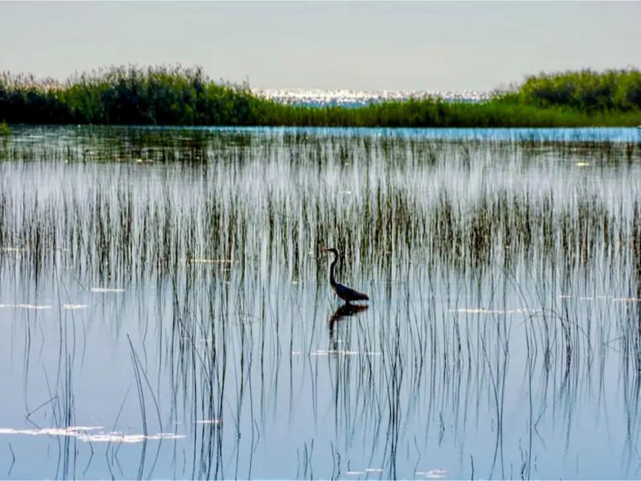 Lake Huron Cabin Rentals LLC - Au Gres, MI