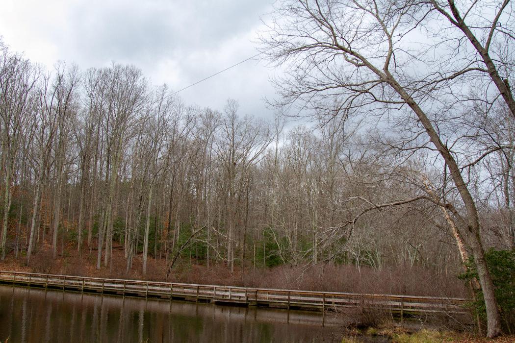 YMCA Camp Thunderbird - Chesterfield, VA