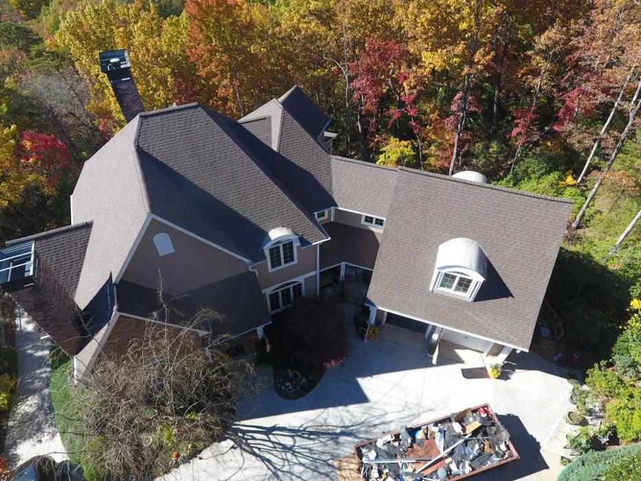 Division Kangaroof Image