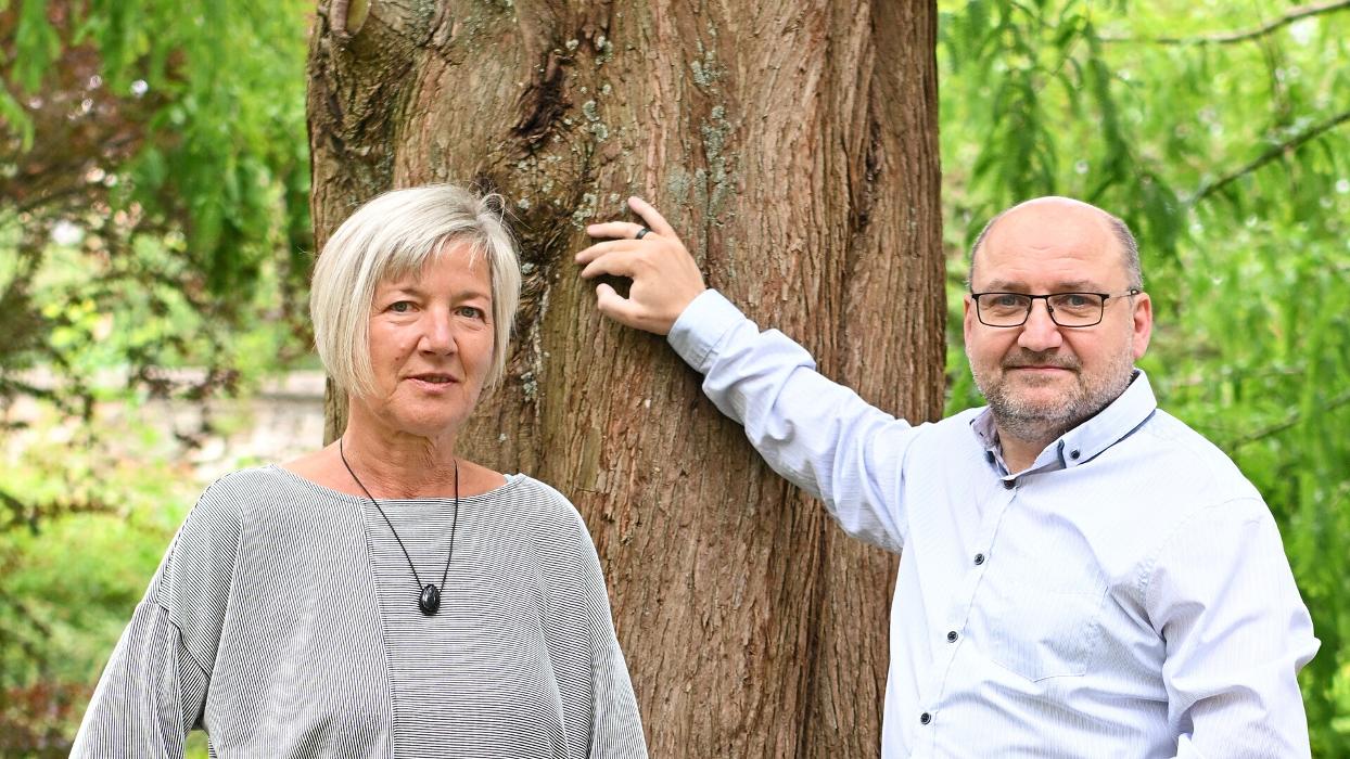 LVM Versicherung Hendrik Elsner - Versicherungsagentur, Neustadt in Zittau