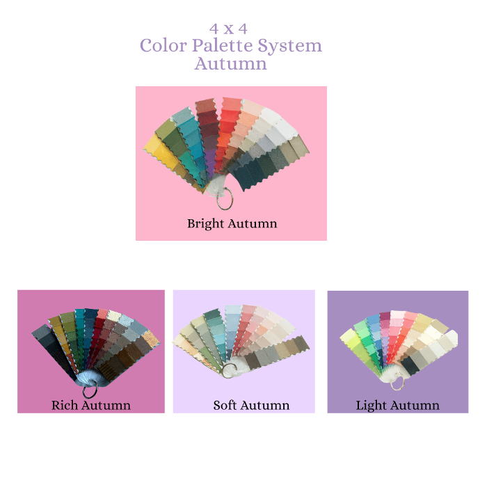Beth Ives, Certified Color & Wardrobe Analysis Image