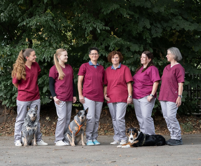 Kleintierpraxis Mühlenhof Dres. C. Gassen und C. Schuch, Grünberger Weg in Buseck