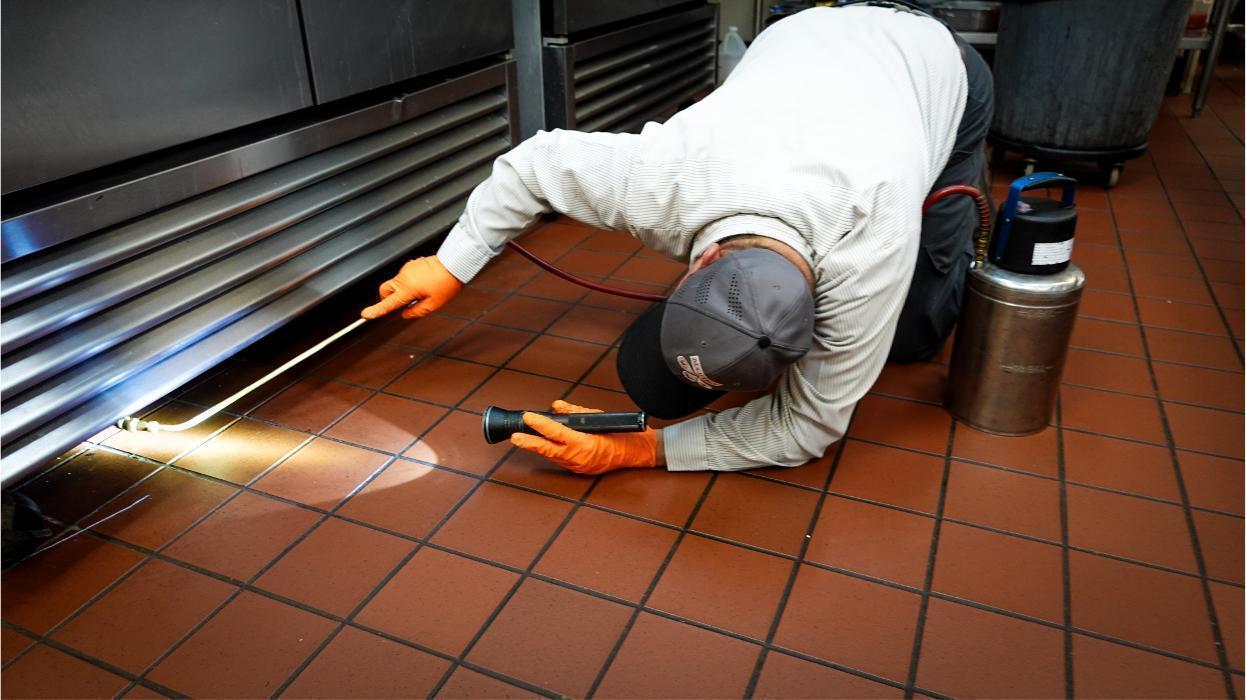 Accutrol Pest Management, LLC Image