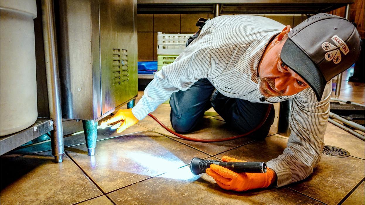 Accutrol Pest Management, LLC Logo