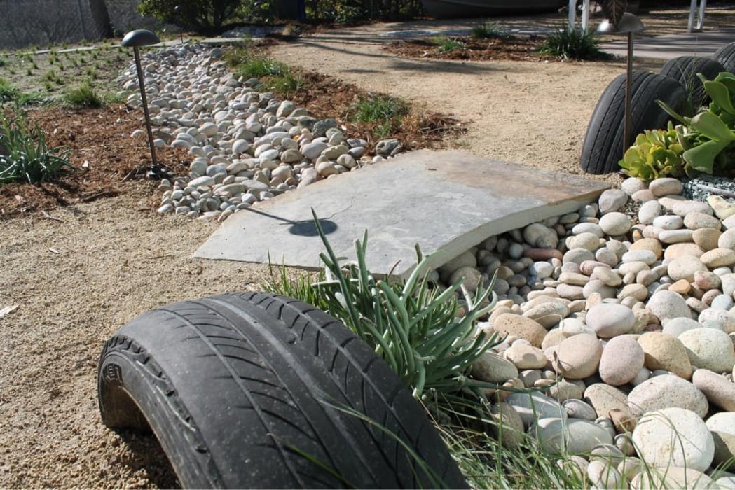 Kelly Green Native Landscape Image