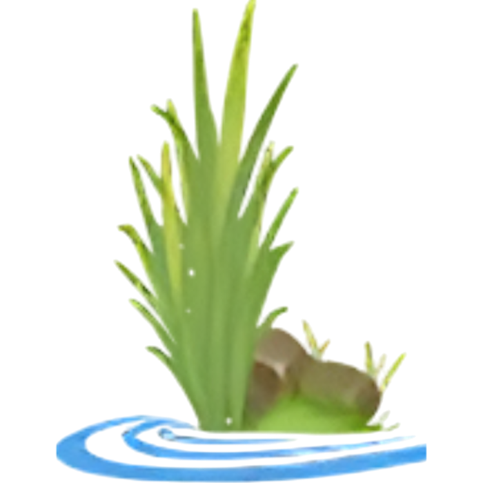 Creative Land Design - Centreville, MD