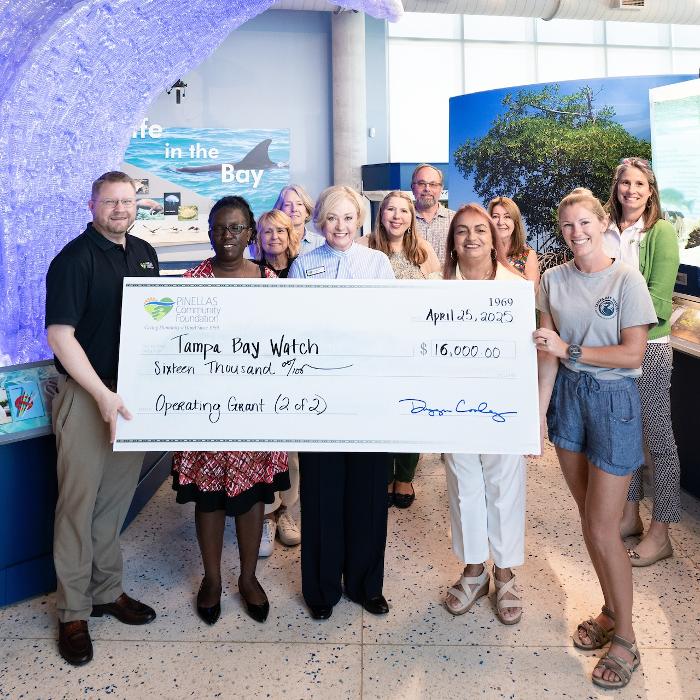 Pinellas Community Foundation Image