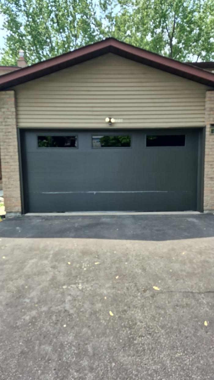 Lion Pro Garage Doors