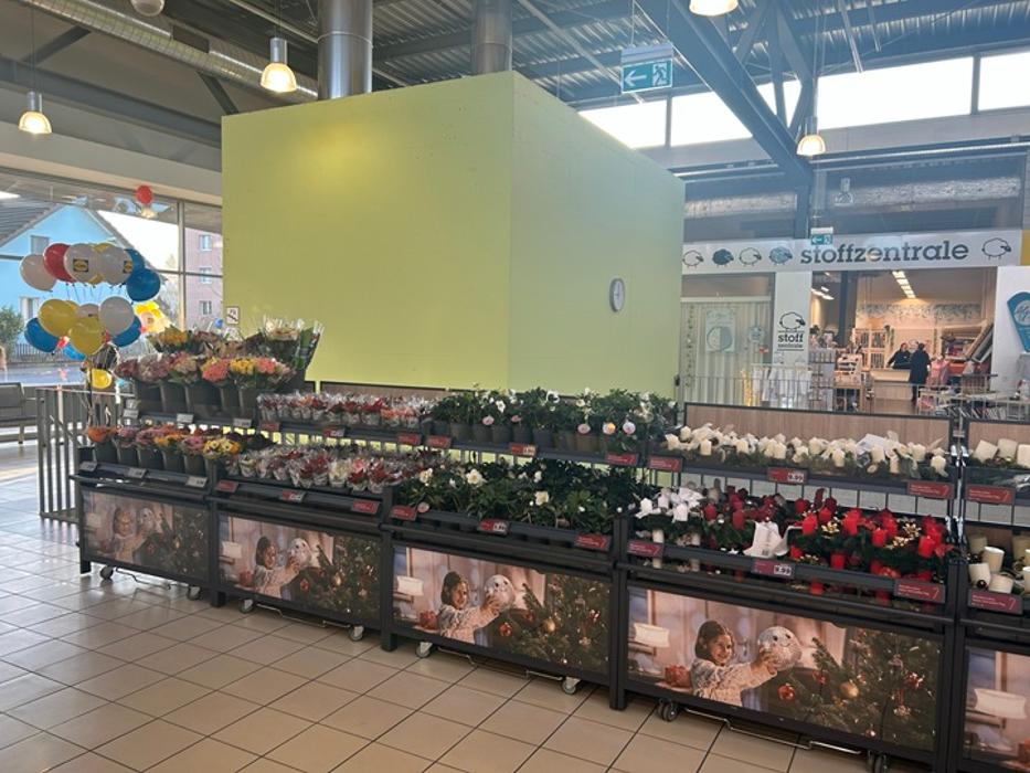 Lidl, Zufikerstrasse in Bremgarten