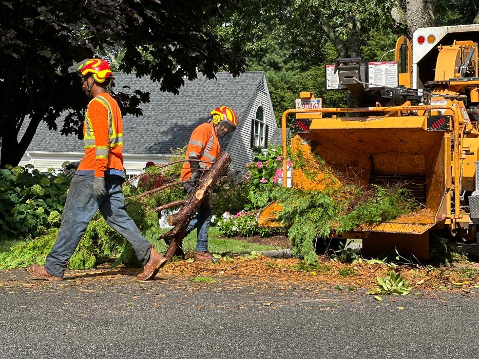 Gade Masonry Landscaping Inc Image