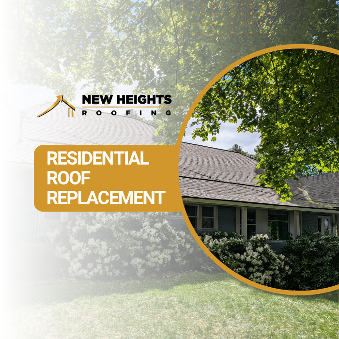 New Heights Roofing Image