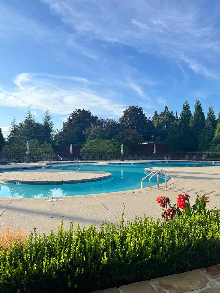 Pure Blue Pools Image