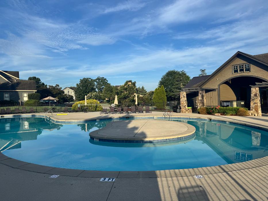 Pure Blue Pools Image