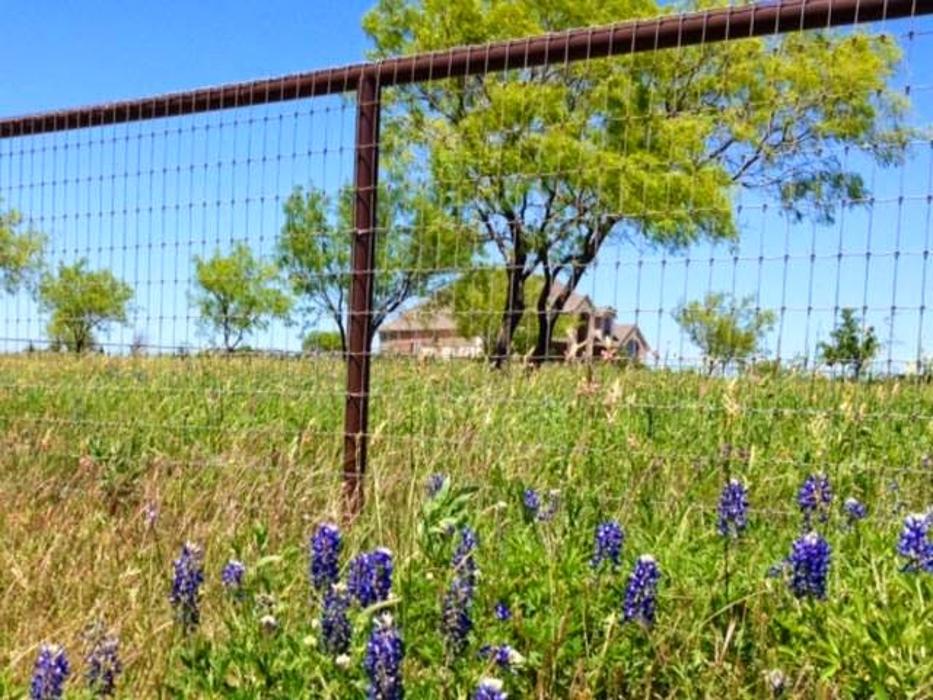 Buzz Custom Fence Image