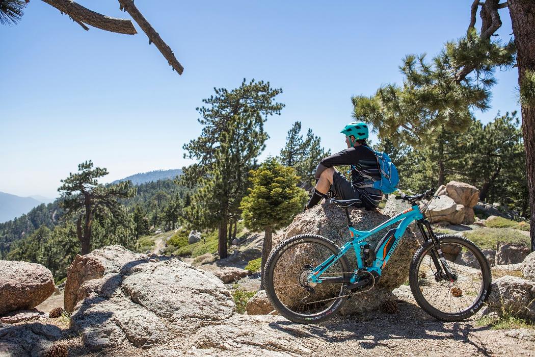 Archer Motorsports Inc Image