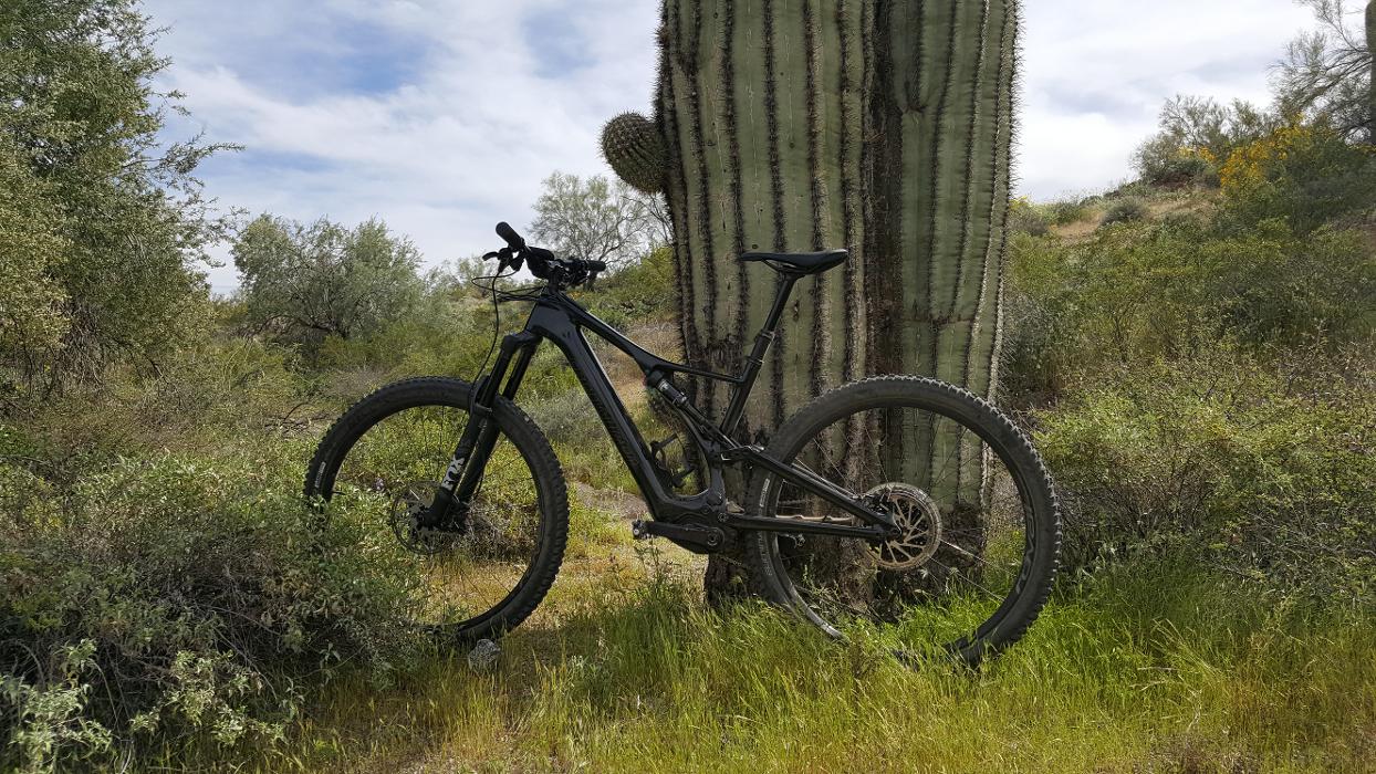 Archer Motorsports Inc Image