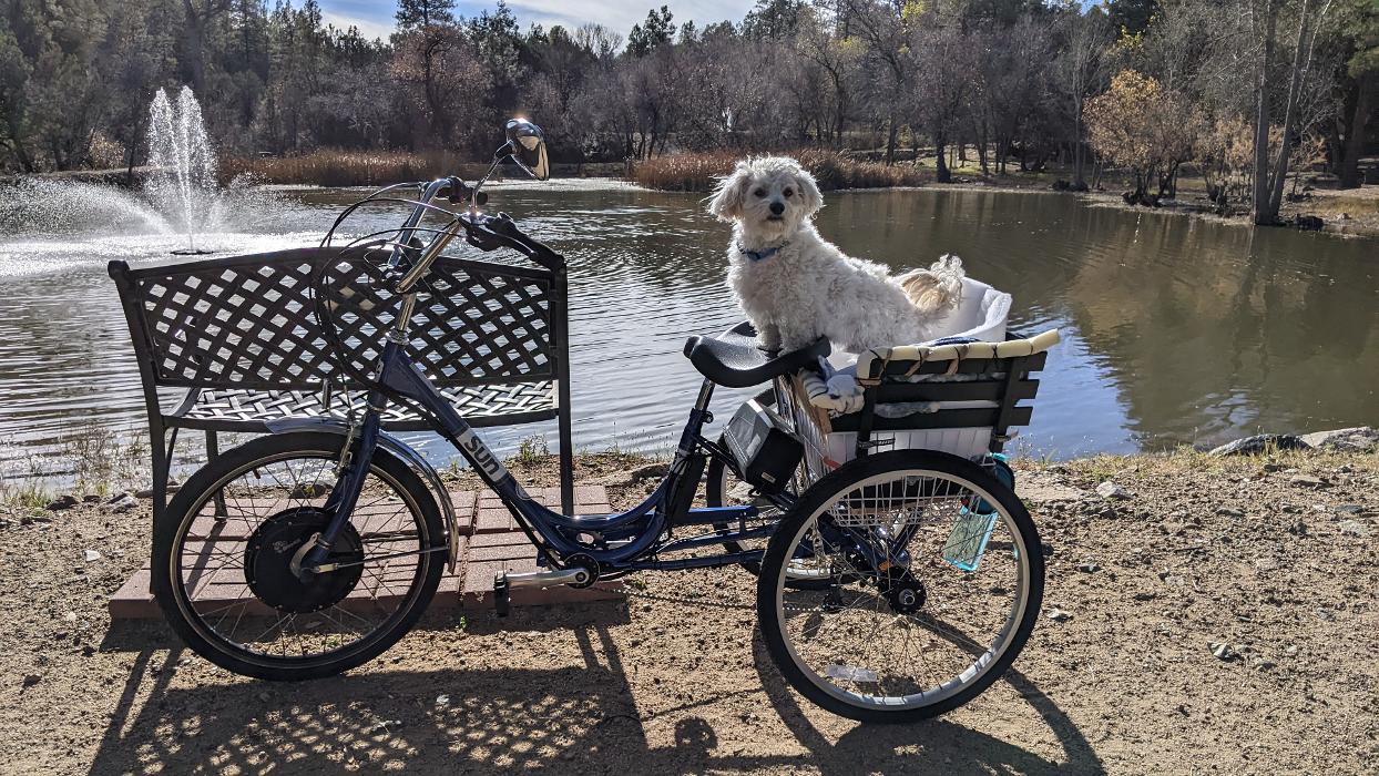 Archer Motorsports Inc Image