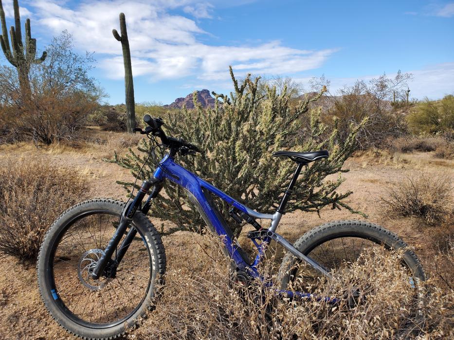 Archer Motorsports Inc Image