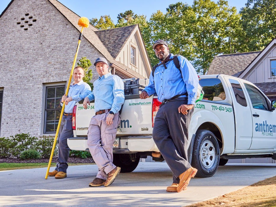 Anthem Pest Control Image