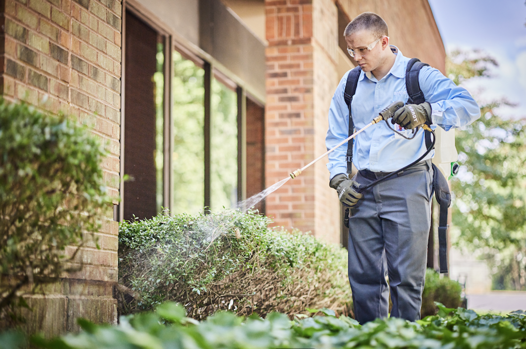 Anthem Pest Control Image
