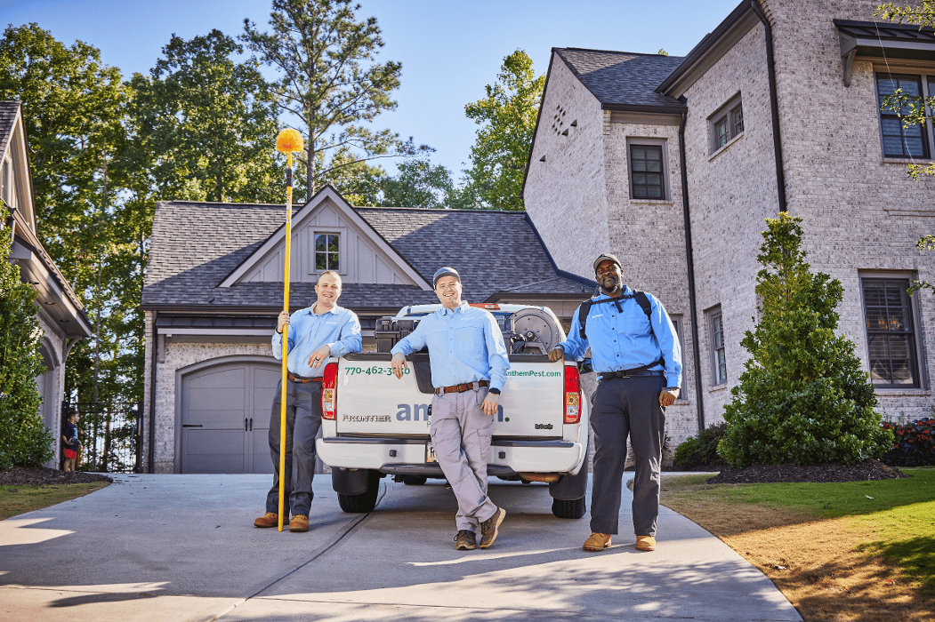 Anthem Pest Control Image