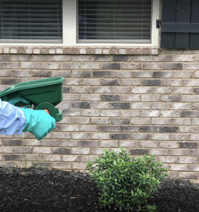 Anthem Pest Control Image