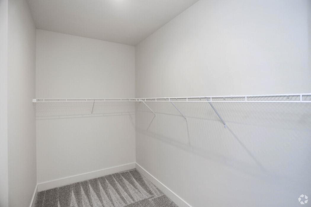 Luna - Lafayette, IN