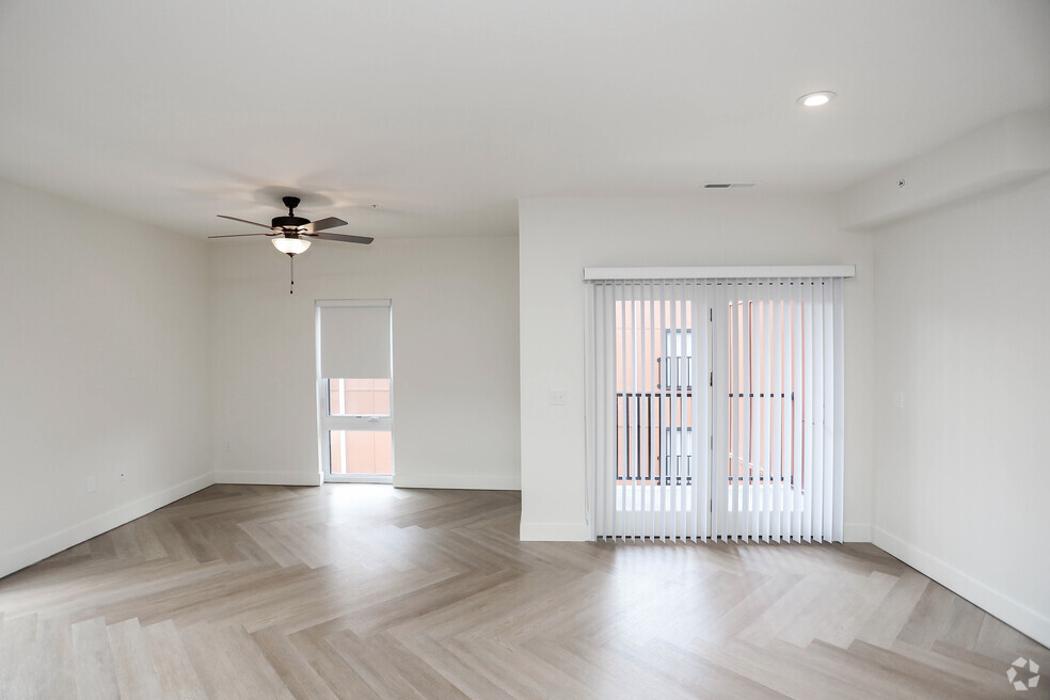 Luna - Lafayette, IN