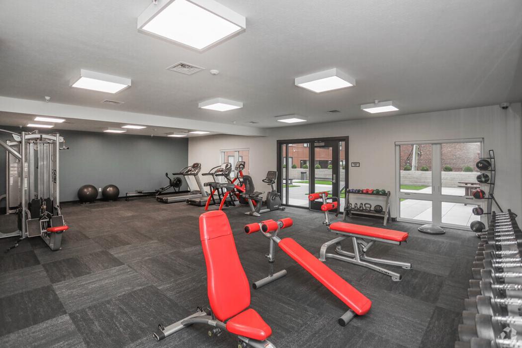 Luna - Lafayette, IN