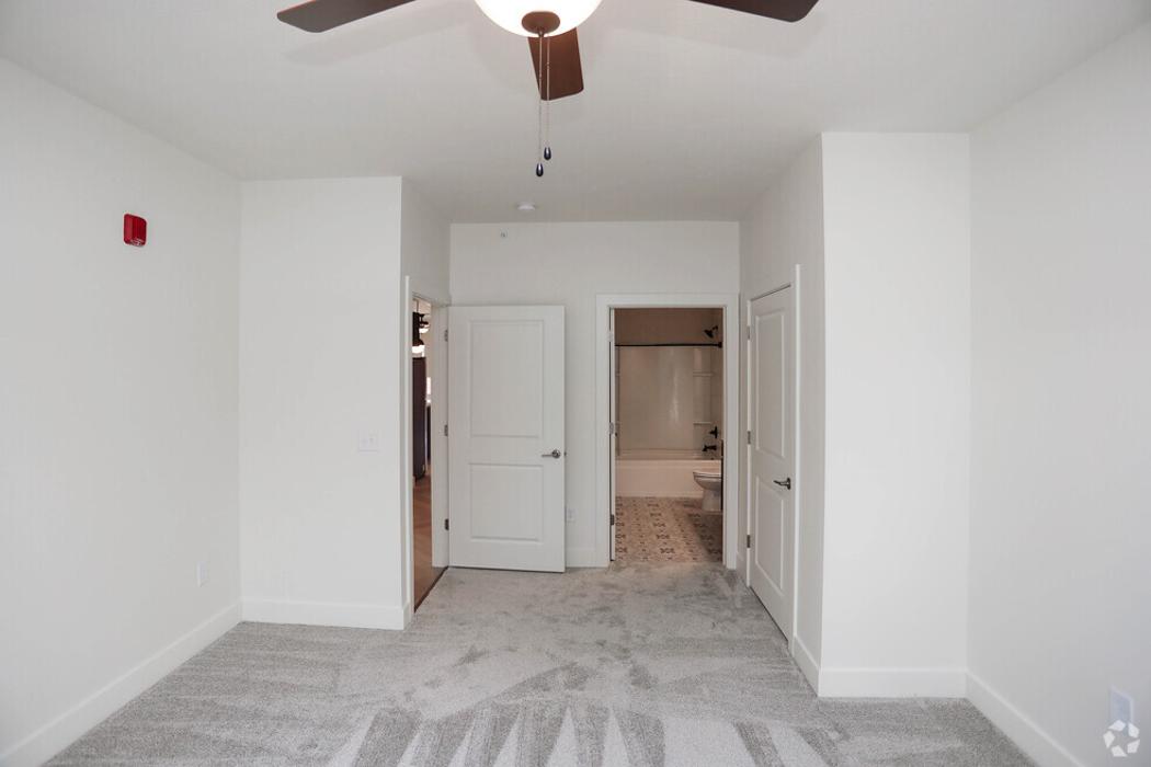 Luna - Lafayette, IN