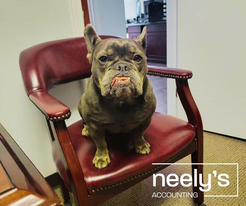 Neely's Accounting Services Image