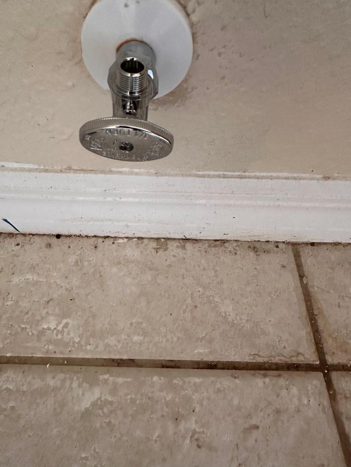 Cape Sewer & Drain Inc. Image