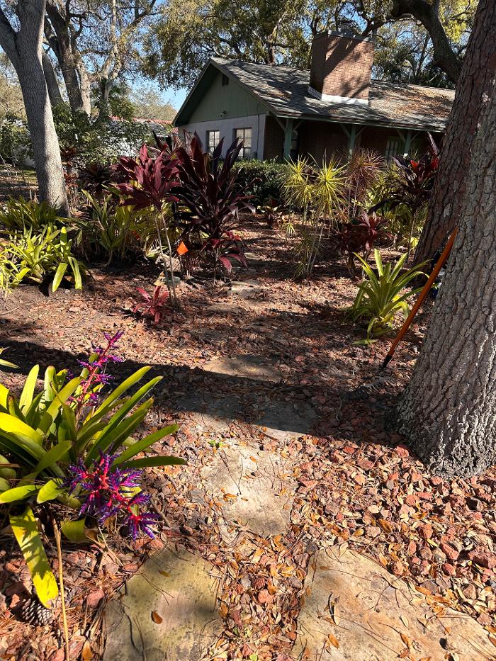 Cape Sewer & Drain Inc. Image