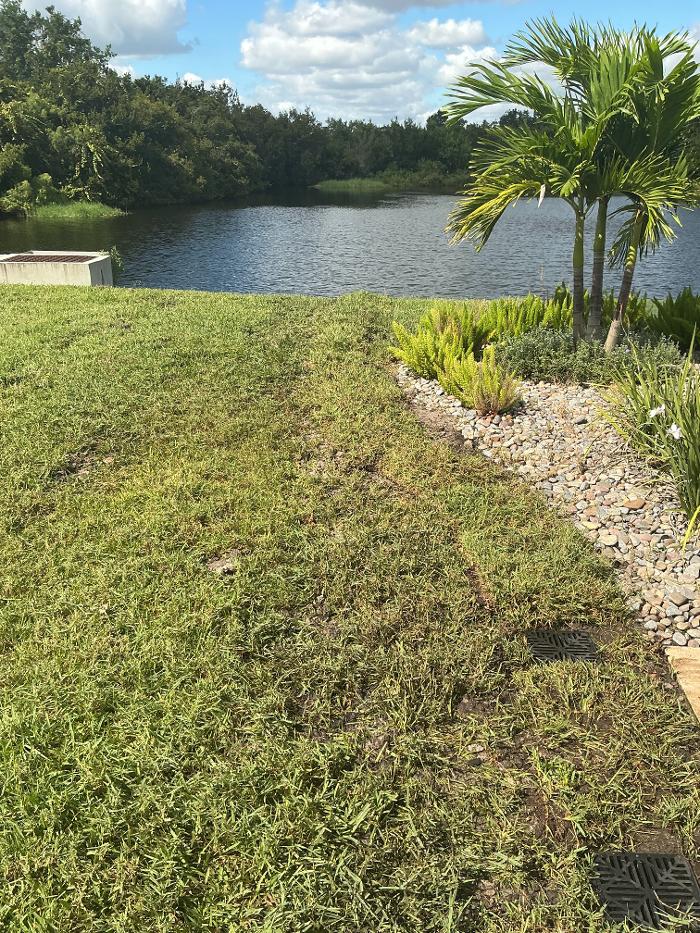 Cape Sewer & Drain Inc. Image