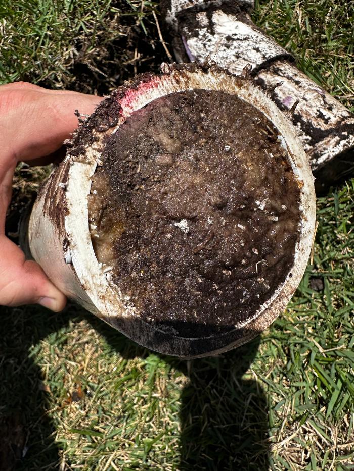 Cape Sewer & Drain Inc. Image