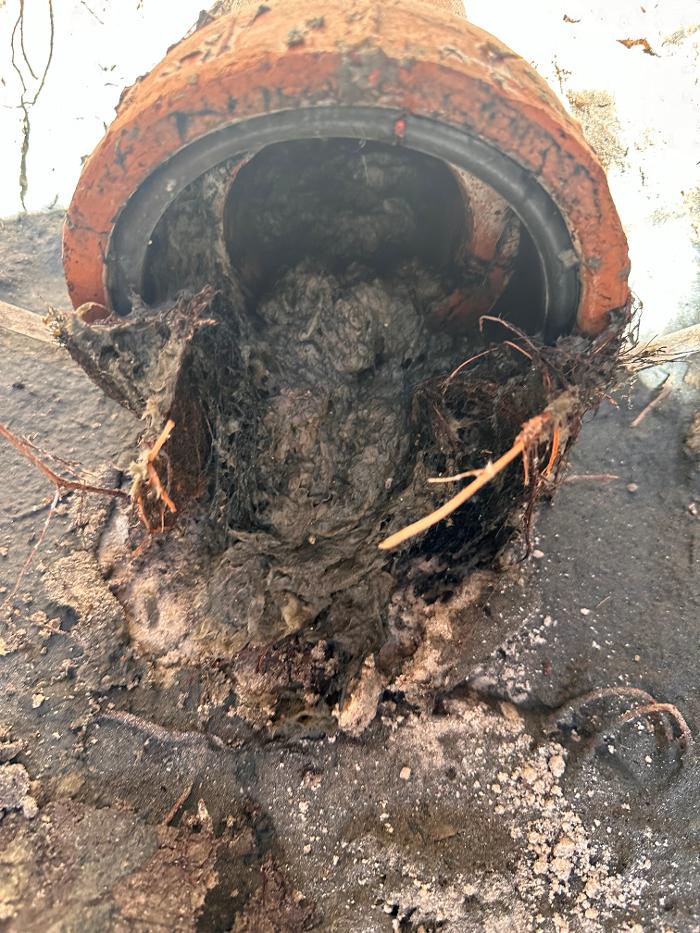 Cape Sewer & Drain Inc. Image