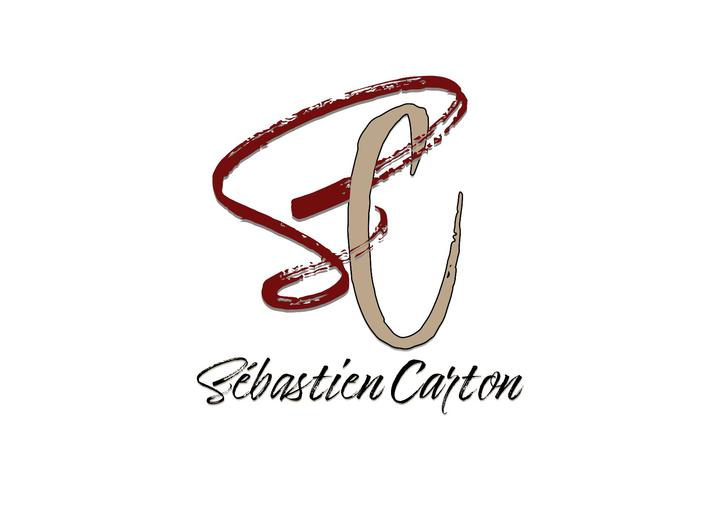 Carton Sébastien soins hors d'un cadre réglementé