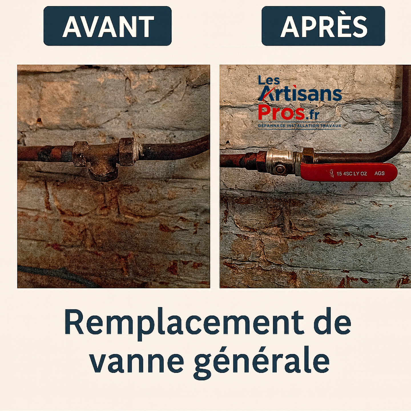 galerie image