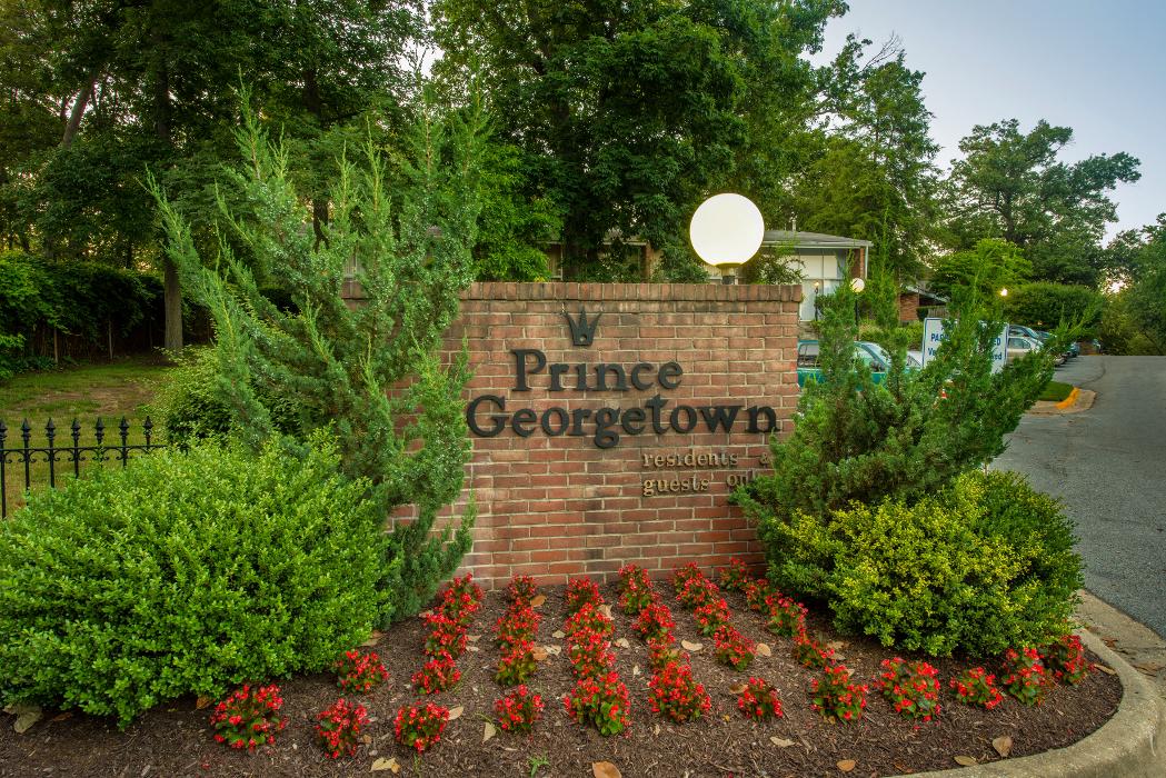Prince Georgetown Image